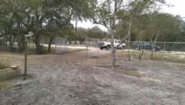 Chain Link Fencing