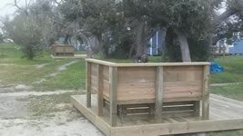 Custom Deck