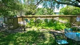 Privacy Fencing